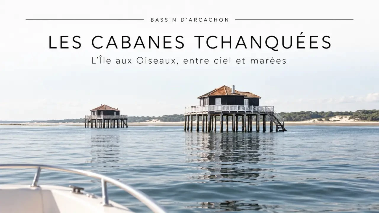 Activité bassin d’Arcachon : sortie en bateau vers les cabanes tchanquées