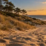 Plage naturiste arcachon près de la Lagune, sable et chemin vers l’océan