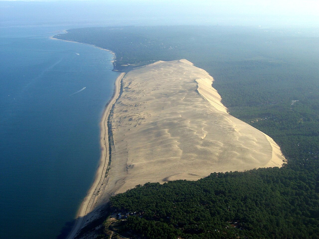 La dune du Pilat et son versant bordant la forêt