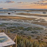 parc naturel marin du bassin d arcachon : vasières, oiseaux limicoles et bancs de sable